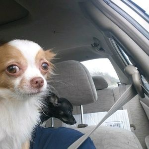 Meet your Posher, Amanda